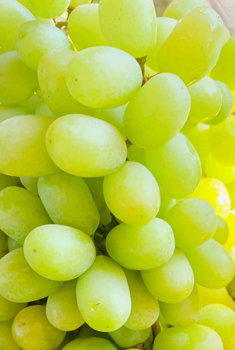 Grapes - Green - Seedless –