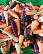 Carrots rainbow 500g