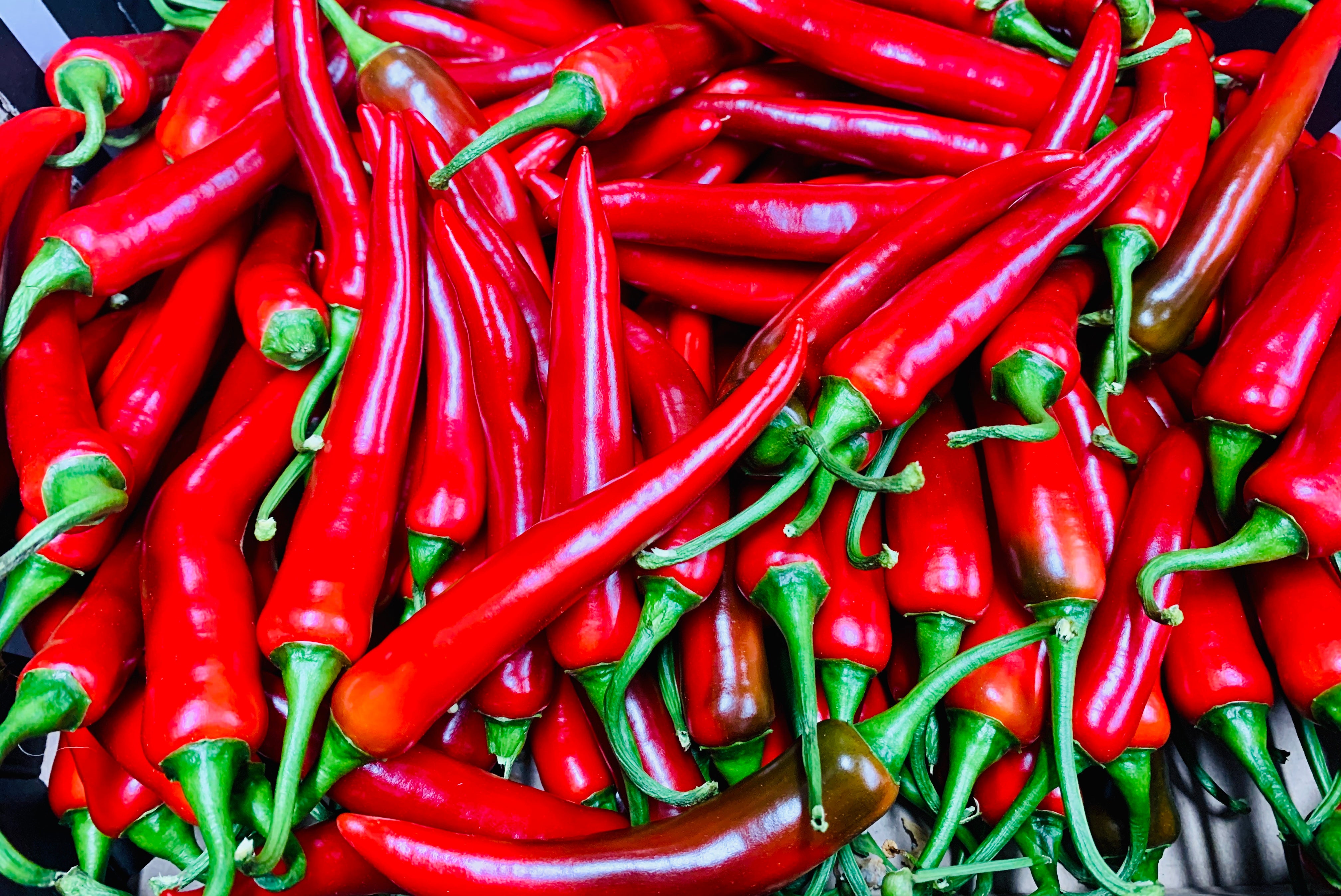 85,000+ Red Chilli Pictures