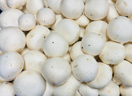 Mushroom cup 500g