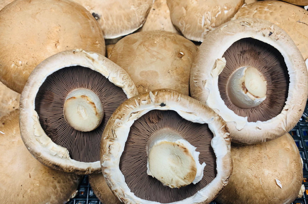 Mushrooms Portabello