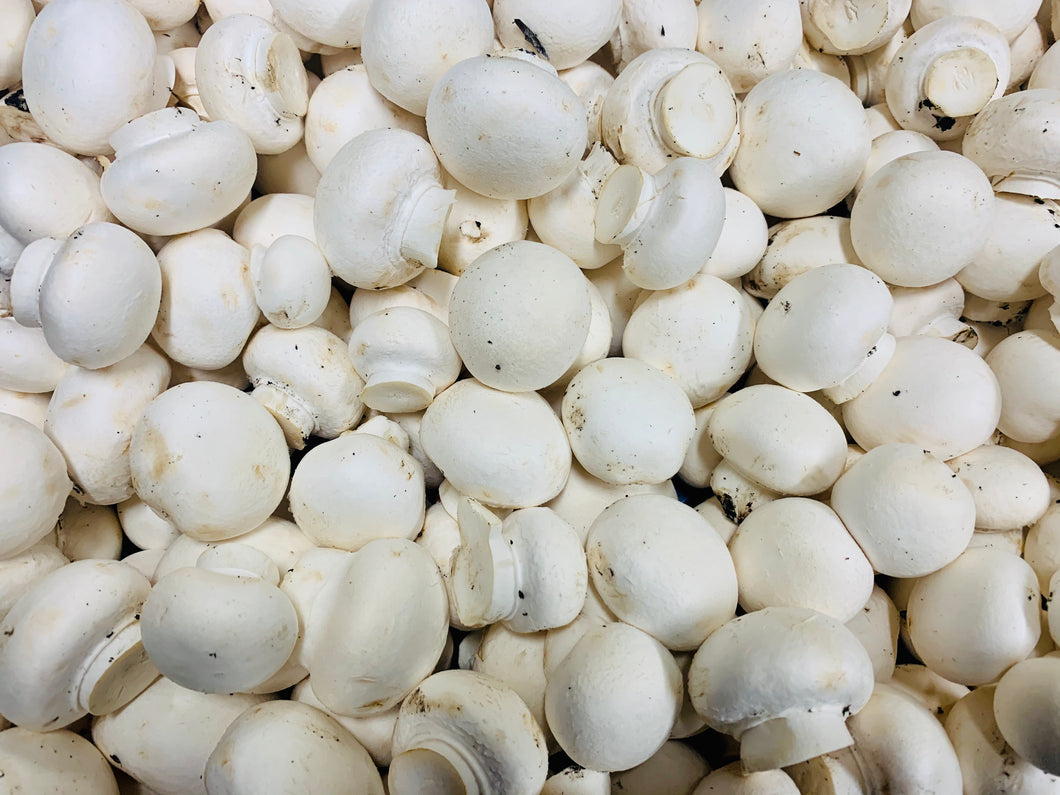 Mushroom button - 500g