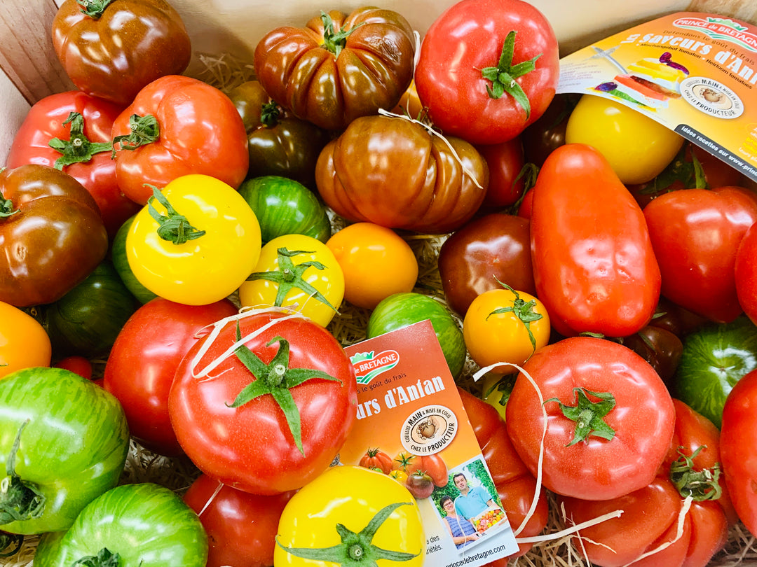 Tomatoes Heritage 500g The Online Greengrocer tomatoes-heritage-500g-the-online-greengrocer