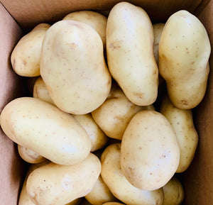 Potatoes jackets x3