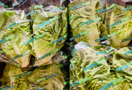 Lettuce little gem