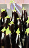 Aubergine - individual