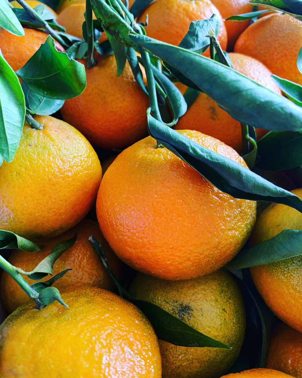 Leafy Clementines