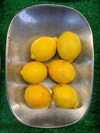 LLP Lemons
