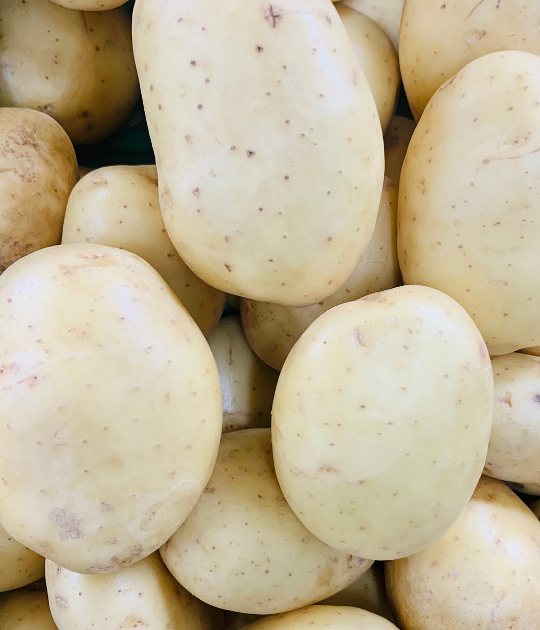 Potatoes washed whites 1.5kg