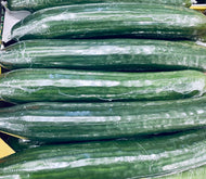 Cucumber