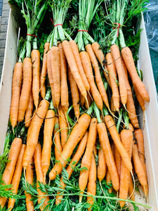 Carrots on a bunch