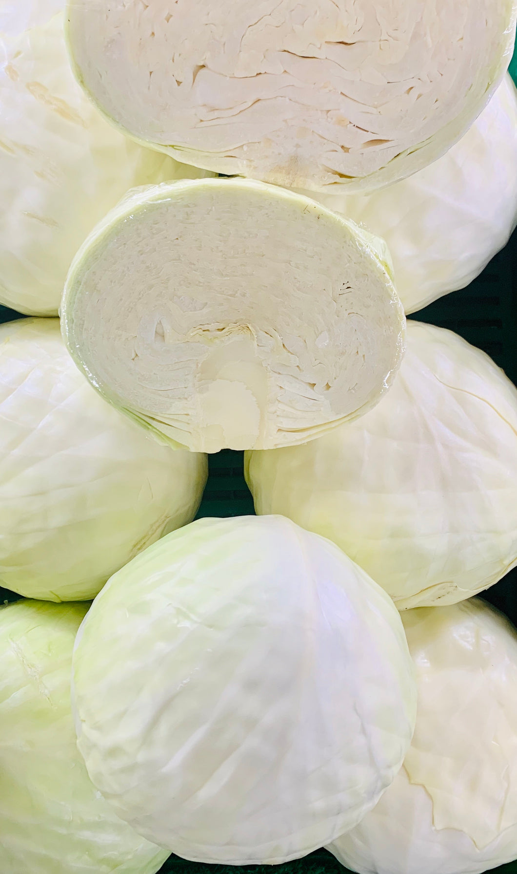Cabbage white - half