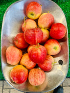 LLP Apples