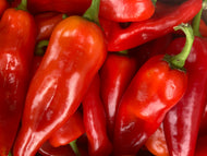 Romario Peppers - pack of 3 - 5