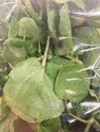 Watercress