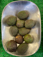 LLP Avocados