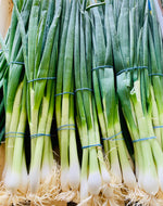 Spring onions - bunch