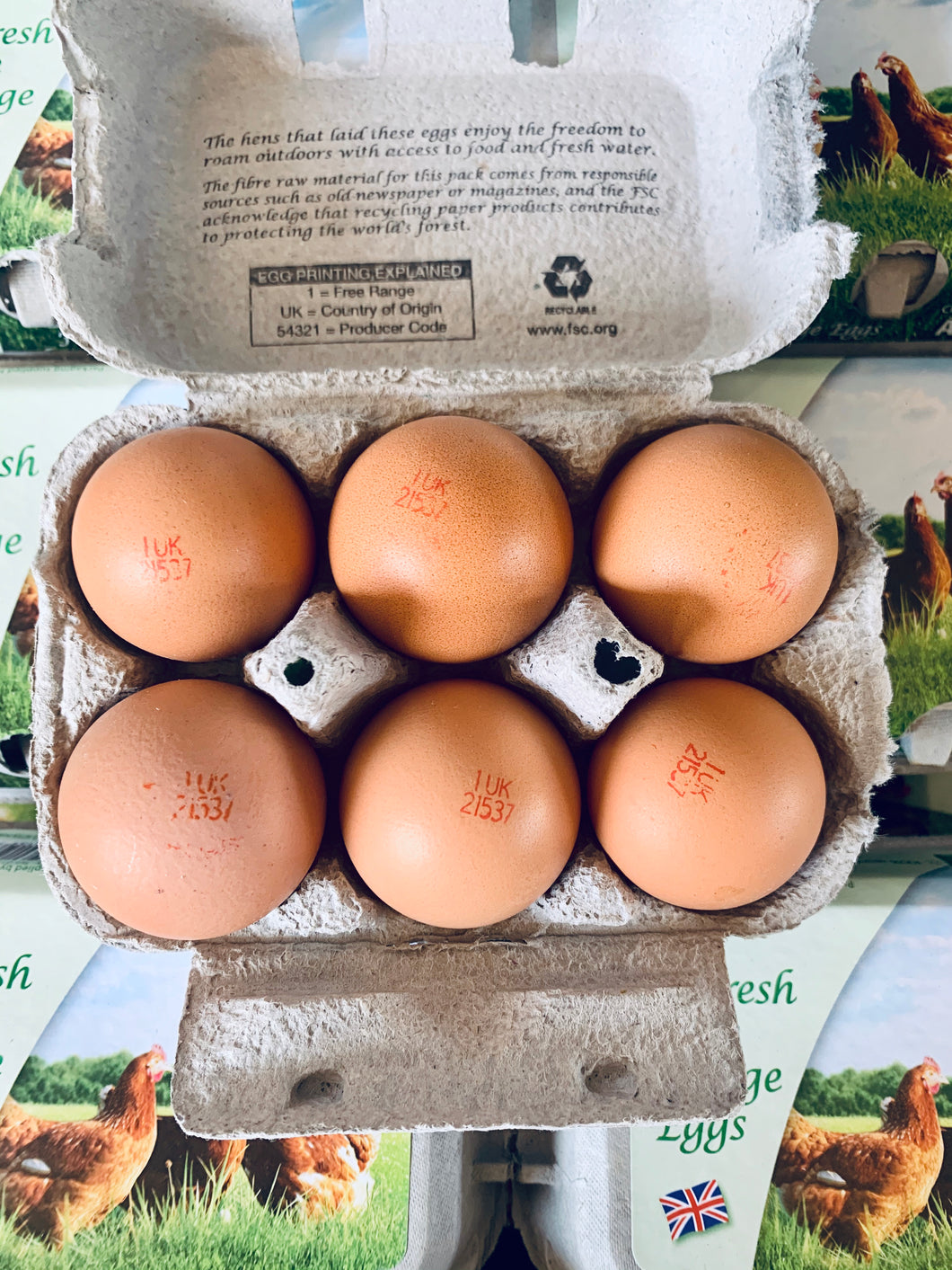 Eggs Large Free range x 6
