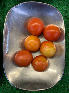LLP Tomatoes