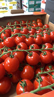 Tomatoes Cherry Vine pack