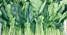 Load image into Gallery viewer, Baby Spinach - 200g bag
