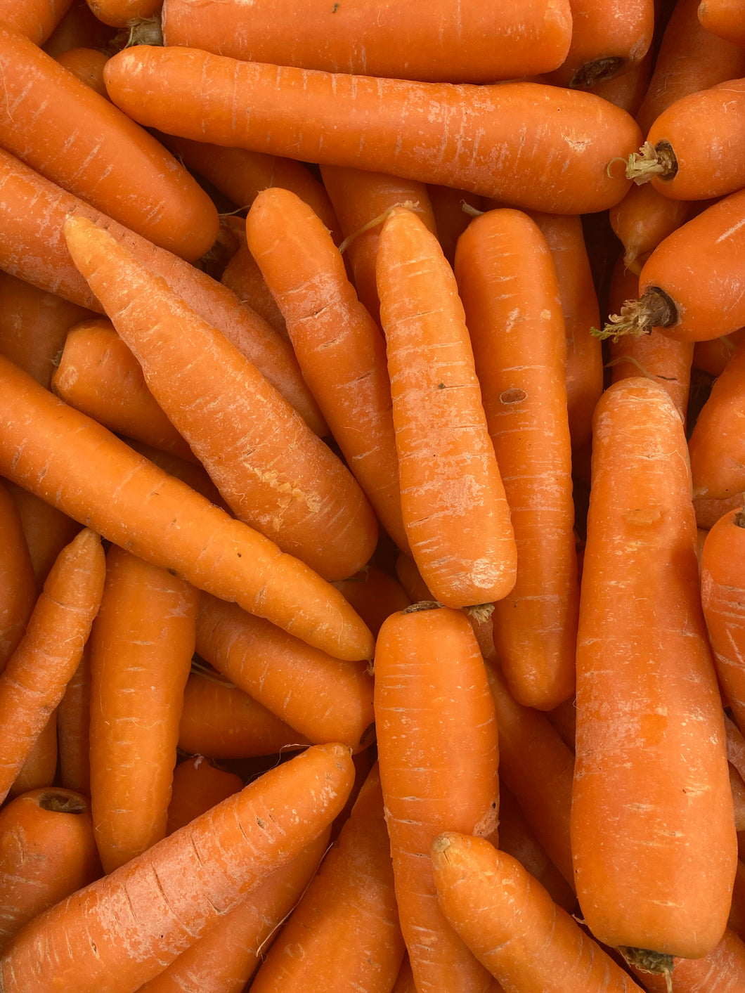 Carrots english 500g