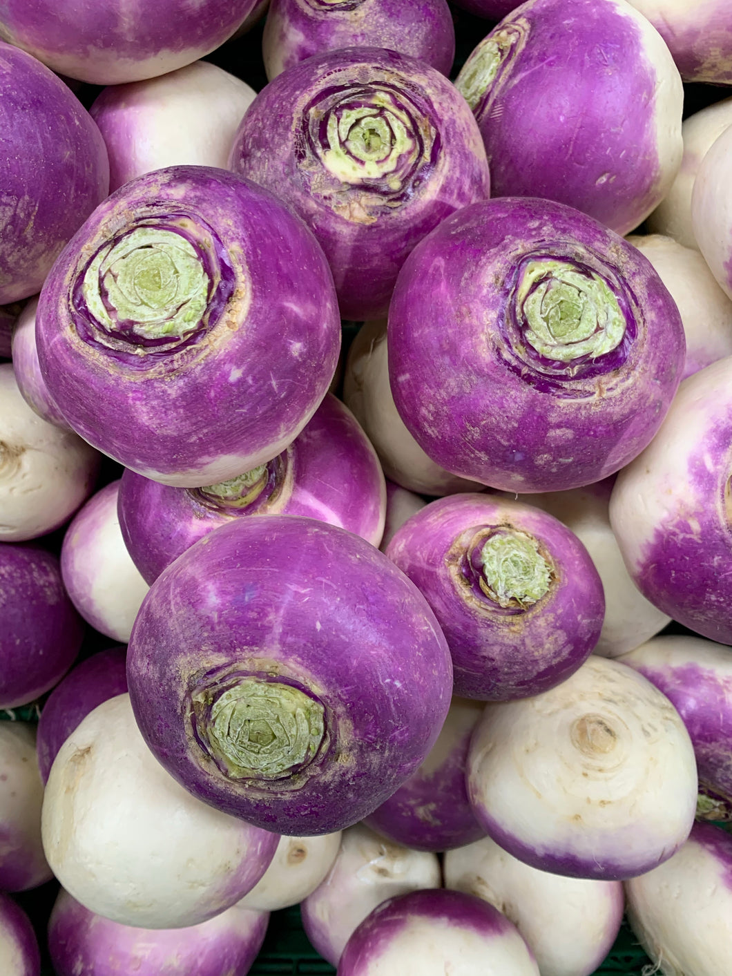 Turnips 500g