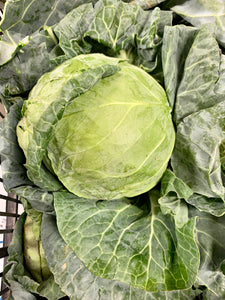 Cabbage primo new season