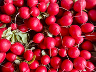 Radishes - bunch