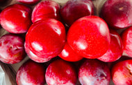 Red plum