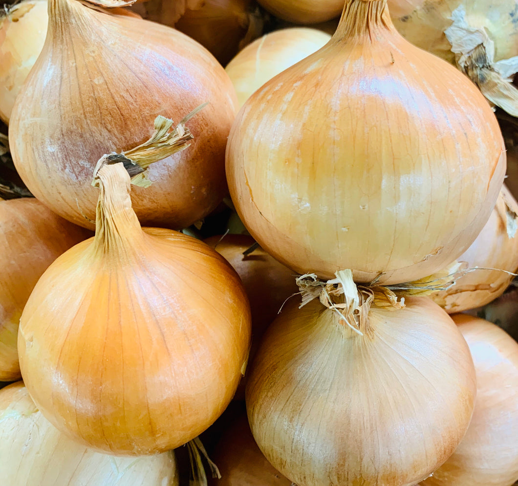 Onions white - 1.3kg