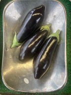 LLP Aubergine