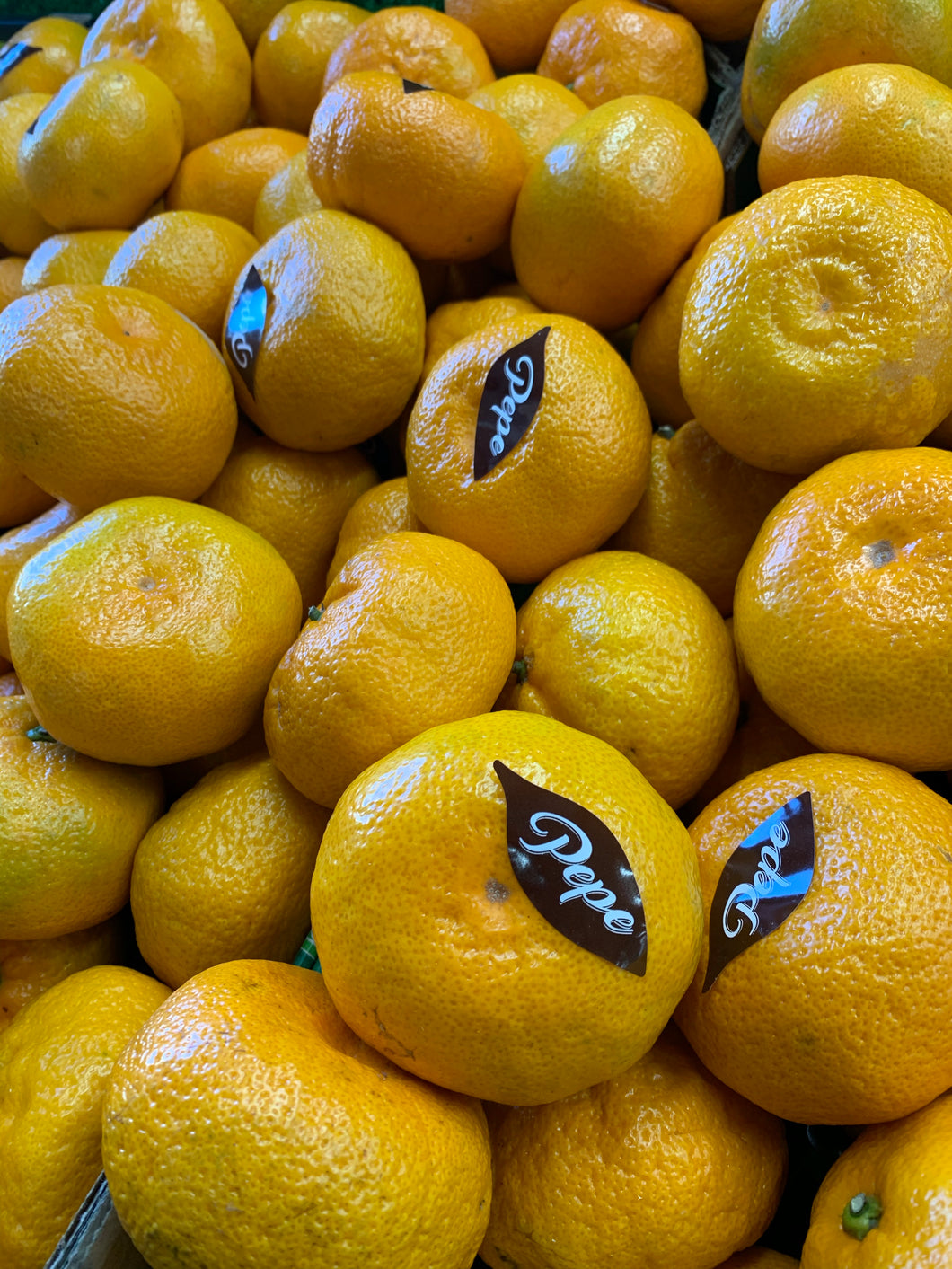 Satsumas