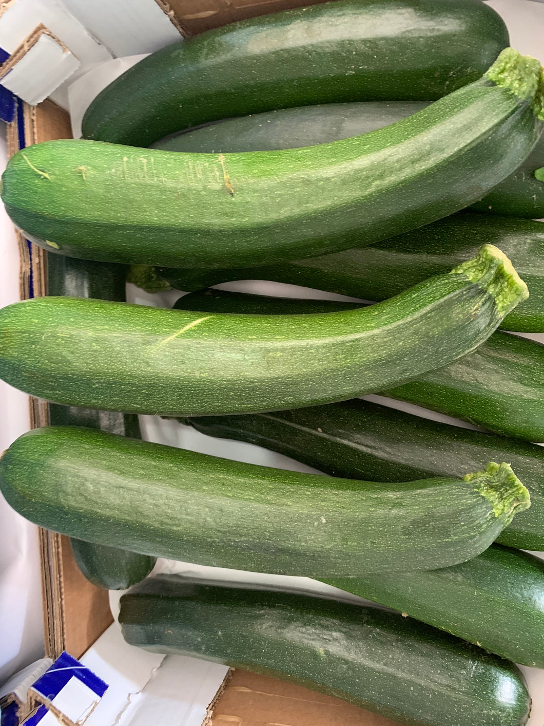 Courgette large