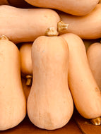 Butternut squash