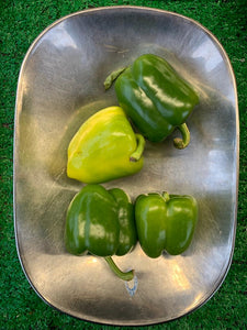 LLP Green Peppers