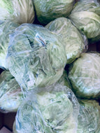 Lettuce iceberg