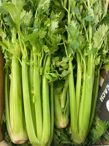 Leafy celery