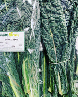 Kale cavolo Nero 250g