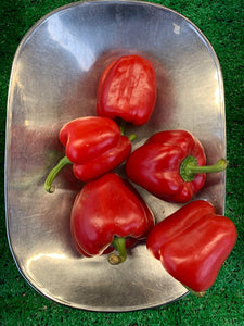 LLP Red Peppers