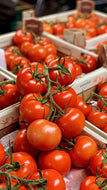 Tomatoes Large on the Vine 500g